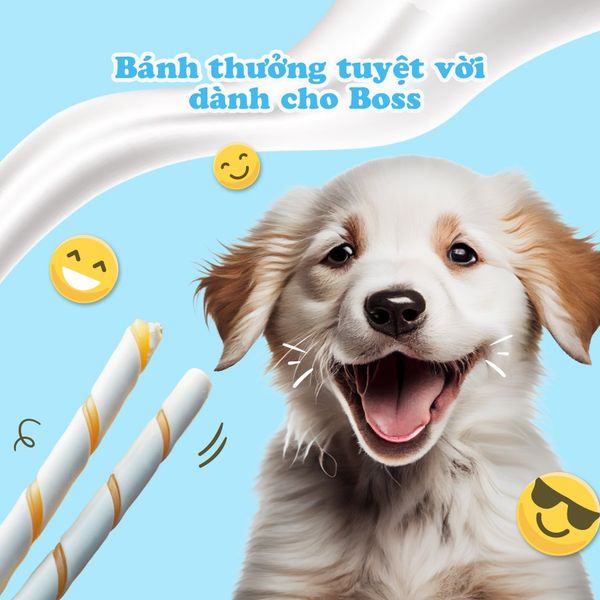 Que Gặm Cho Chó Hương Sữa DoggyMan 120g2