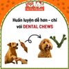 Xương Gặm Cho Chó Cao Cấp Dental Chews Altimate Pet