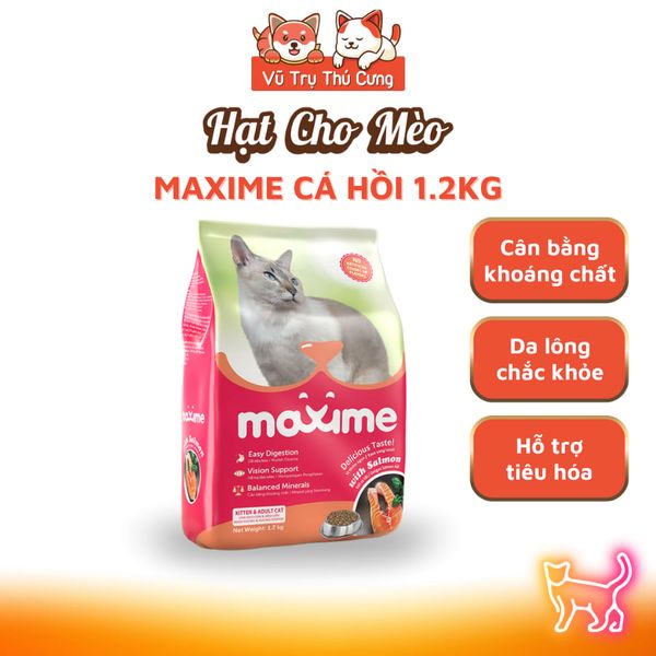 Hạt Cho Mèo Maxime Cao Cấp Hỗ Trợ Tiết Niệu Và Cân Bằng Dinh Dưỡng