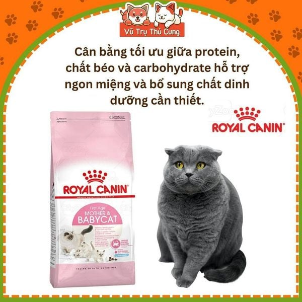Thức Ăn Hạt Cho Mèo Con Royal Canin Mother & Babycat