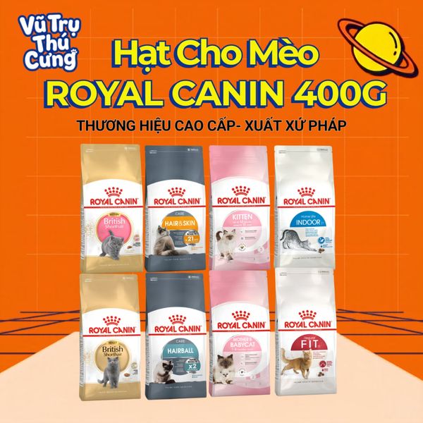 (400g) Hạt Cho Mèo Royal Canin Kitten, MotherBabycat, Indoor, Fit32, HairBall, HairSkin, Shorthair