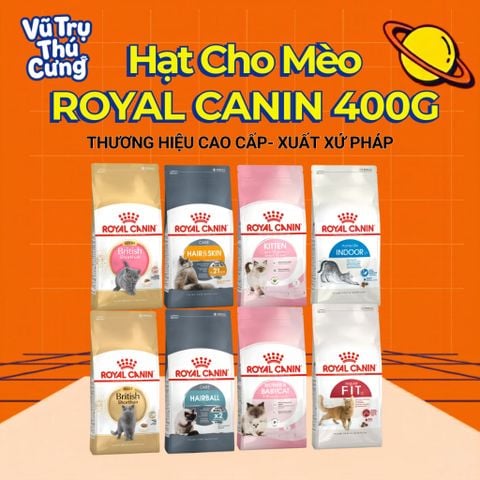 (400g) Hạt Cho Mèo Royal Canin Kitten, MotherBabycat, Indoor, Fit32, HairBall, HairSkin, Shorthair