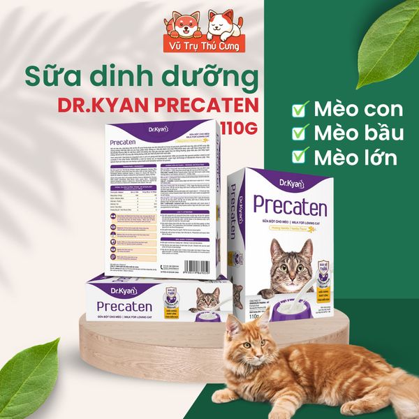 Sữa bột dinh dưỡng Dr Kyan Precaten cho Mèo hộp 100g