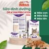 Sữa bột dinh dưỡng Dr Kyan Precaten cho Mèo hộp 100g