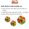 Đồ Chơi Cho Thú Cưng Banh Cao Su Đan 3 Màu Doggyman
