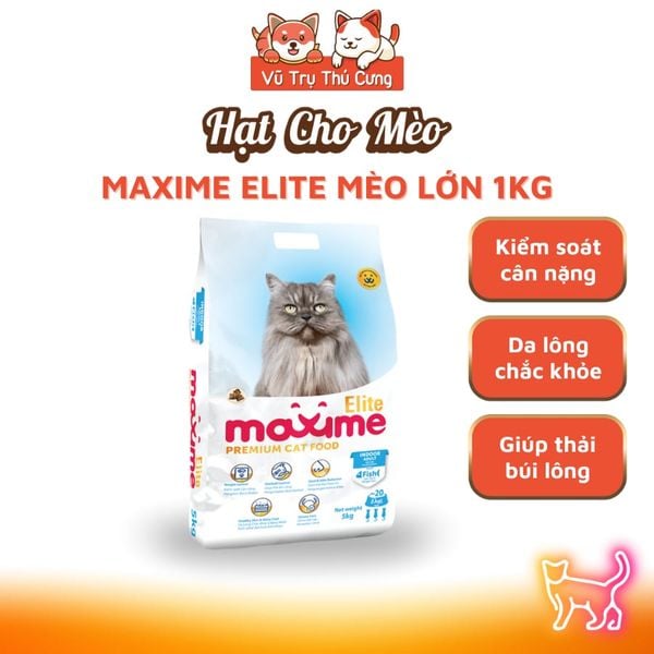 Hạt Cho Mèo Maxime Cao Cấp Hỗ Trợ Tiết Niệu Và Cân Bằng Dinh Dưỡng