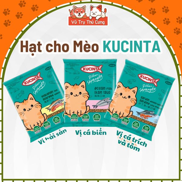 Thức Ăn Hạt Cho Mèo Kucinta Thái Lan 1Kg