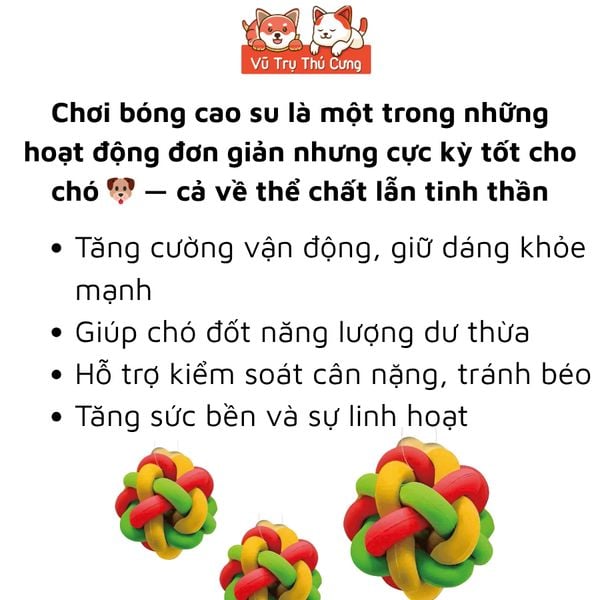 Đồ Chơi Cho Thú Cưng Banh Cao Su Đan 3 Màu Doggyman