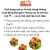 Đồ Chơi Cho Thú Cưng Banh Cao Su Đan 3 Màu Doggyman