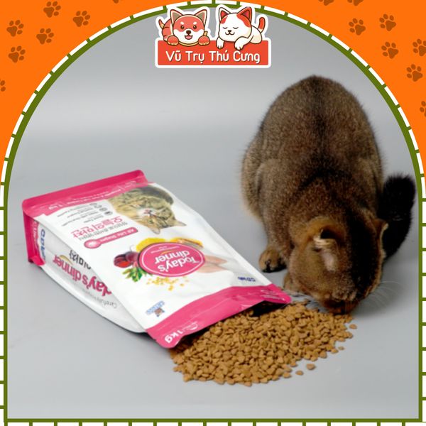 (1Kg) Thức Ăn Hạt Today Dinner Cho Mèo Mọi Lứa Tuổi
