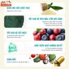Thức Ăn Cho Mèo Bite Of Wild P42 Không Độn Ngũ Cốc, Hàm Lượng Protein 42%, Giúp Mèo Tăng Cân