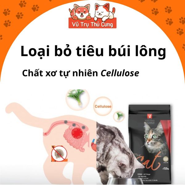 (Nguyên Seal) Hạt Cho Mèo Cat's Eye Hàn Quốc Mọi Độ Tuổi2