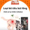 (Nguyên Seal) Hạt Cho Mèo Cat's Eye Hàn Quốc Mọi Độ Tuổi2