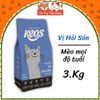 (3KG) Hạt Keos Cho Mèo Mọi Độ Tuổi Tốt Cho Tiêu Hóa