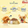 Hạt Cho Chó Luvcare 2Kg Hỗ Trợ Mượt Lông Da