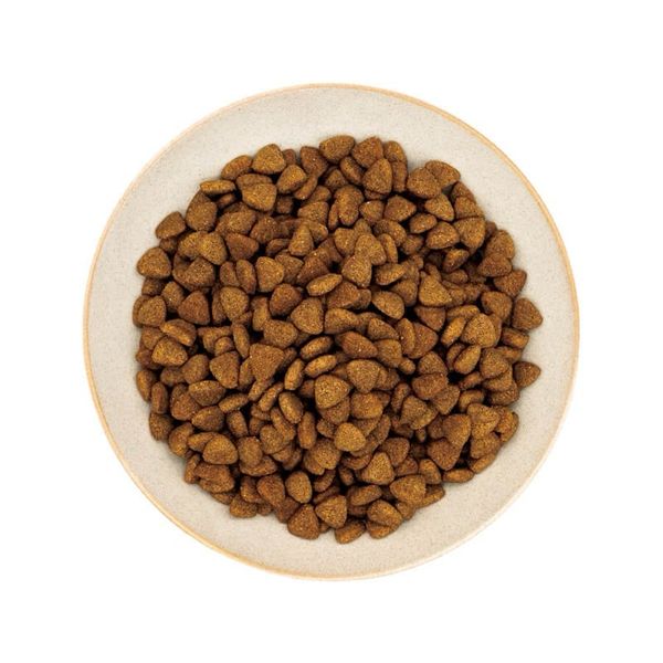 Hạt Cho Chó Mượt Lông Da Healthy Choice 400g