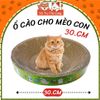 Bàn Cào Móng Hình Tròn Cho Mèo Con Đường Kính 30cm
