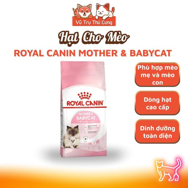 (400g) Hạt Cho Mèo Royal Canin Kitten, MotherBabycat, Indoor, Fit32, HairBall, HairSkin, Shorthair