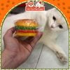 Đồ chơi gặm cho Chó bằng cao su hình bánh Hambuger