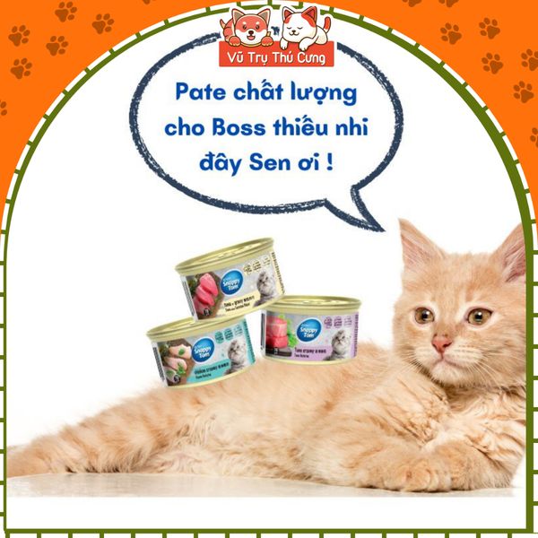 Pate Snappy Tom Cho Mèo Con Lon 70g