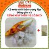 Đồ Chơi Cho Chó Mèo-Cá Nhồi Bông Kèm Catnip Thư Giãn