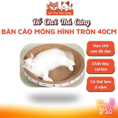 Bàn Cào Móng Cho Mèo Kết Hợp Chỗ Ngủ