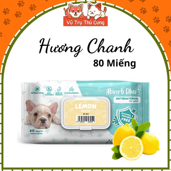 Khăn Giấy Ướt Kháng Khuẩn Vệ Sinh Cho Chó Absorb 80 Miếng