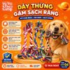Đồ Chơi Dây Thừng Gặm Sạch Răng Cho Chó (màu ngẫu nhiên)