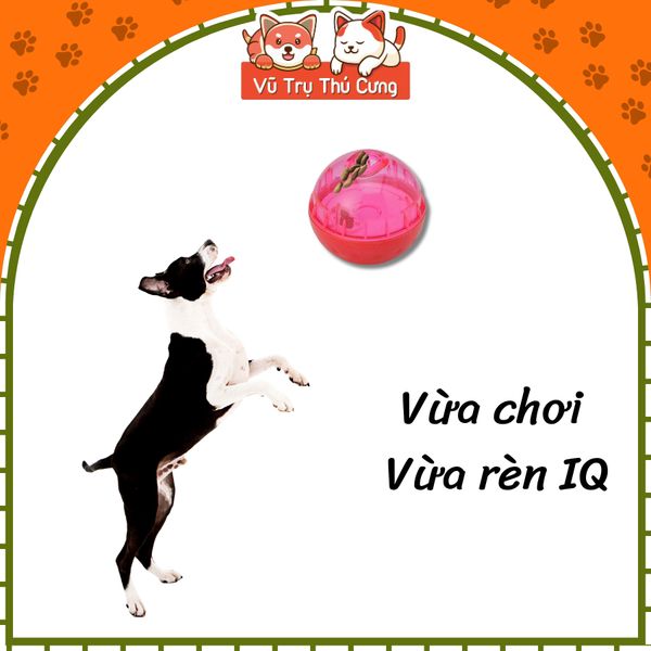Đồ Chơi Huấn Luyện Cho Chó- Bóng IQ DoggyMan