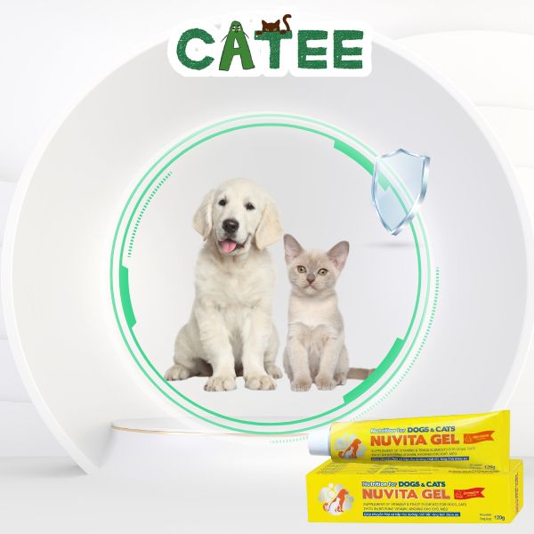 Gel Dinh Dưỡng Bổ Sung Vitamin Khoáng Chất Cho Chó Mèo Vemedim Nuvita Gel 120g