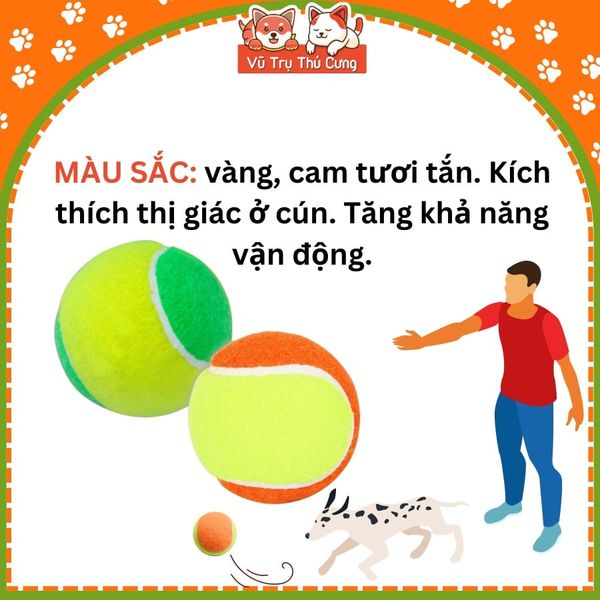 Đồ chơi cho Chó gặm hình bóng Tenis FOFOS (1 Banh Lẻ)