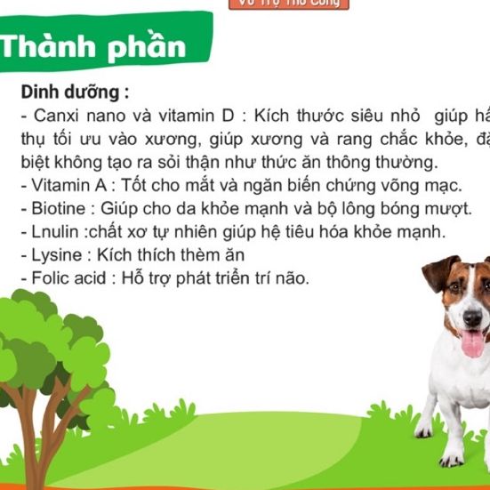 Sữa Bột Cho Chó Bổ Sung Dinh Dưỡng Dr.Kyan Predogen