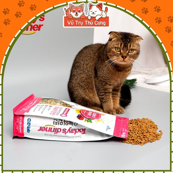 (1Kg) Thức Ăn Hạt Today Dinner Cho Mèo Mọi Lứa Tuổi