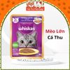 Pate Whiskas Cho Mèo Mọi Lứa Tuổi Giàu Dinh Dưỡng 80g