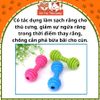 Đồ chơi xương gặm cho chó có lục lạc (cục tạ)