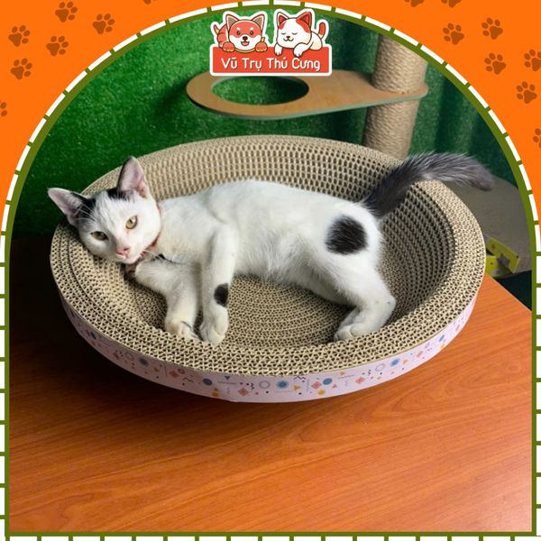 Bàn Cào Móng Hình Tròn Cho Mèo Con Đường Kính 30cm