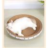 Bàn Cào Móng Hình Tròn Cho Mèo Con Đường Kính 30cm