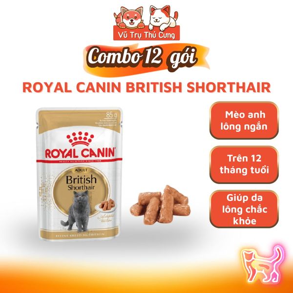 Pate Cho Mèo Royal Canin Gói 85g