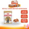 Pate Cho Mèo Royal Canin Gói 85g
