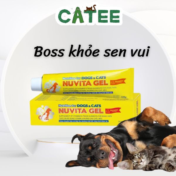 Gel Dinh Dưỡng Bổ Sung Vitamin Khoáng Chất Cho Chó Mèo Vemedim Nuvita Gel 120g