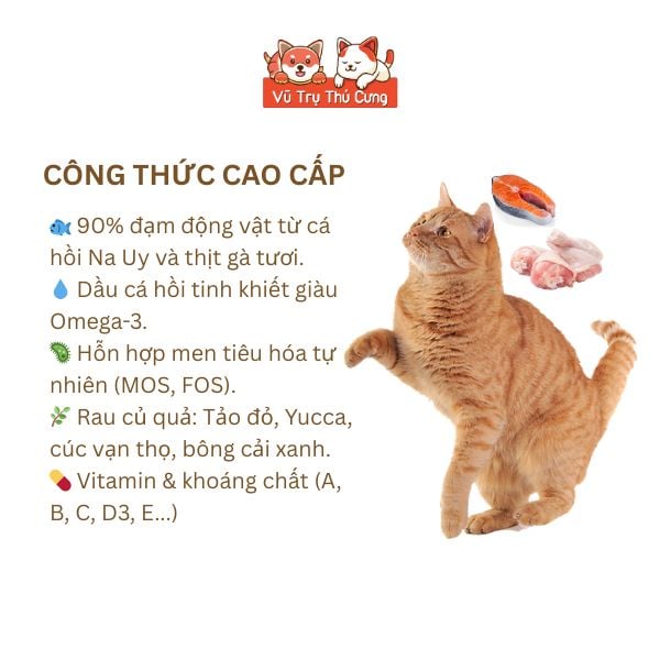 Thức Ăn Hạt Cho Mèo Bite Of Wild Farm 1,5kg Vị Cá Hồi, Mượt Lông Da, Không Ngũ Côc, Topping Thịt Sấy2