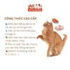 Thức Ăn Hạt Cho Mèo Bite Of Wild Farm 1,5kg Vị Cá Hồi, Mượt Lông Da, Không Ngũ Côc, Topping Thịt Sấy2