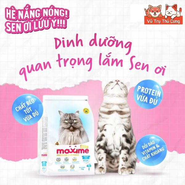 Hạt Cho Mèo Maxime Cao Cấp Hỗ Trợ Tiết Niệu Và Cân Bằng Dinh Dưỡng