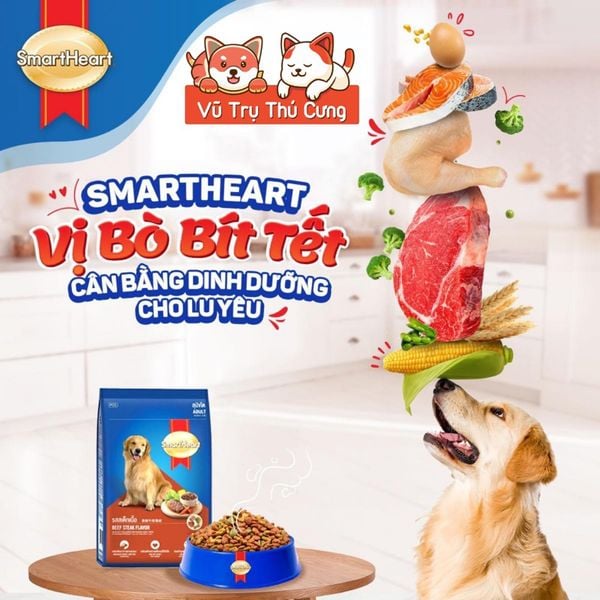 Hạt Cho Chó Trưởng Thành Vị Bò Nướng SmartHeart 3kg