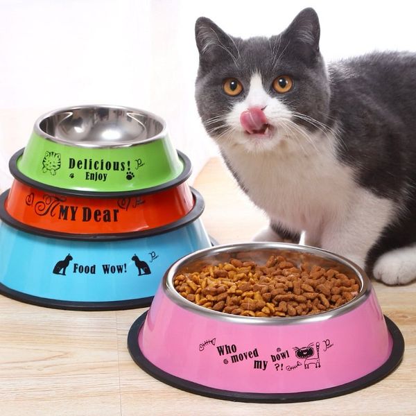 Bát Ăn Inox Hoạ Tiết Màu Sắc Cho Chó Mèo