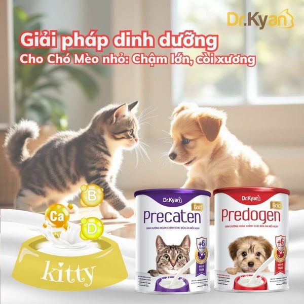 Sữa Bột Cho Chó Bổ Sung Dinh Dưỡng Dr.Kyan Predogen