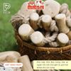 Đồ Chơi Cho Chó Dây Thừng 3 Cục Gỗ Pecow Gỗ Cà Phê Tự Nhiên