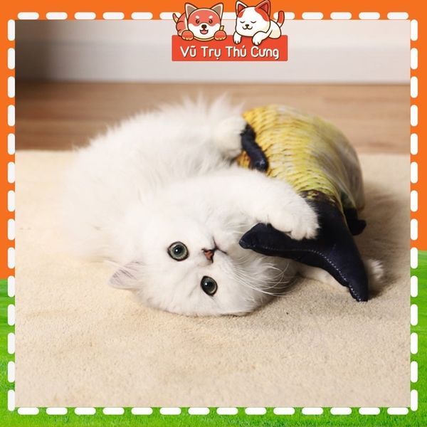 Đồ Chơi Cho Chó Mèo-Cá Nhồi Bông Kèm Catnip Thư Giãn