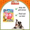 Đồ Chơi Huấn Luyện Cho Chó- Bóng IQ DoggyMan