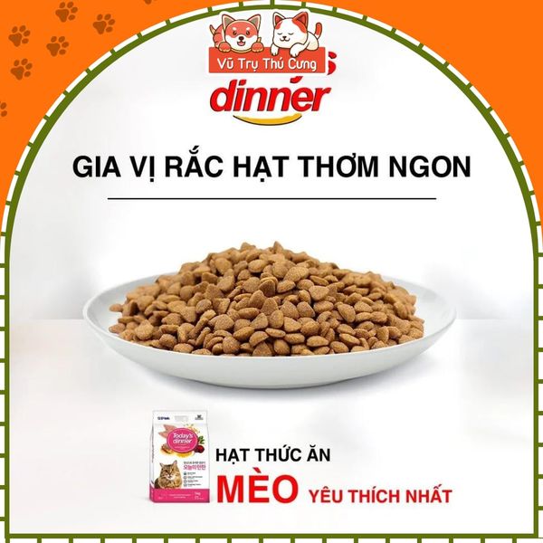 (1Kg) Thức Ăn Hạt Today Dinner Cho Mèo Mọi Lứa Tuổi